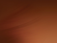 904