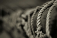 Ropey_Photo_by_Bob_Farrell