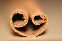 Smile_by_quinn.anya