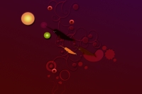 Tri_Narwhal_by_momez