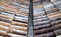 Roof_Tiles_by_Finn_Sturdy