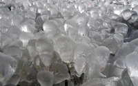 Icy_Grass_by_Raymond_Lavoie