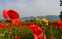 The_Land_of_Edonias