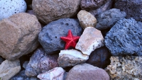 A_star_has_fallen_by_Juan_Pablo_Lauriente