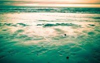 Dawn on the beach