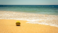 Tennis_ball_by_Artem_Kavalerov