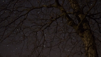 Sky_Sparkles_by_Joe_Thompson