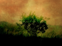 Ubuntu_6.10_community