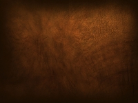 Ubuntu_7.10_community