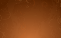 Ubuntu_8.04_community