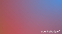 Suru Tesselation II