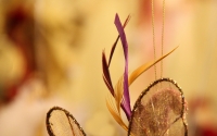 feathers_by_andre_tr