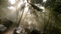silent_sunrise_in_the_rainforest_by_eric_li