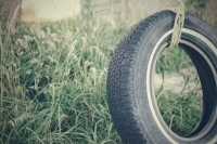 tyre_swing_by_scott_webb
