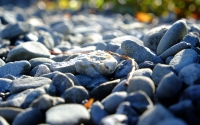 pebbles_by_gurjus_bhasin