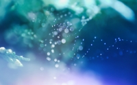 ubuntu-gnome-wonders-of-nature