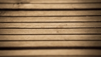 wood_by_thomas_vandenkerckhove