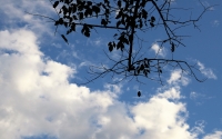 sky-desktop