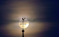 weathercock