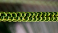 spirales_by_victor_mussard
