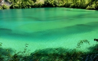 green-lake