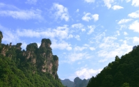 stone-forest