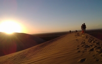 road-of-the-desert