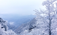 the-snow-crested