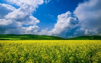 saibei-scenery