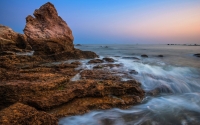 Charm-of-the-Sea