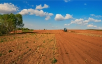 spring-ploughing