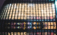 light_in_the_night