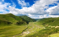 on_the_grassland