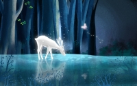 the_deer_only_appears_in_the_deep_forest