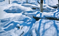 clear_day_after_the_snow