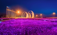 holiday_night