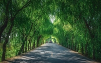 township_road