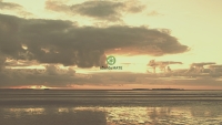 Webspresso-Hilbre-Island