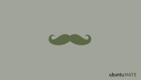 Grey_Mustache_Words