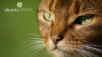 selassiemate