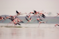 1604_lifeinslowmotion_pushkardeshpande_24533981240_o