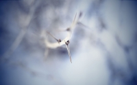 163_by_e4v