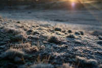 Early_Morning_by_Robert_Katzki