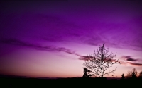 Mr._Tau_and_The_Tree_-_by_TJ