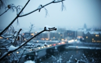 Cold Evening