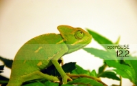 Chameleon2