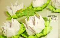 Chameleon3.1