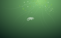 Opensuse_lightray