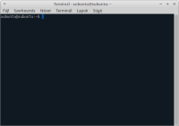 default_terminal