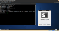 Xubuntu_10.04_terminal